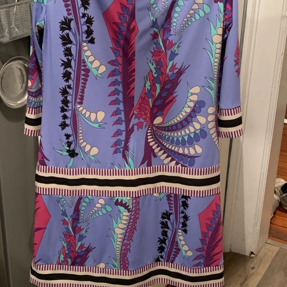 Ali Ro drop waist dress. Worn‎ about 3x